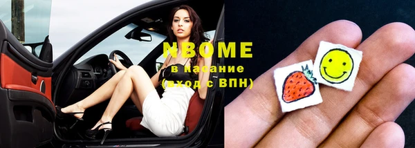 гидра Богданович