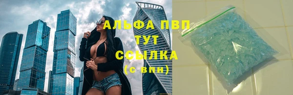 шишки Белоозёрский