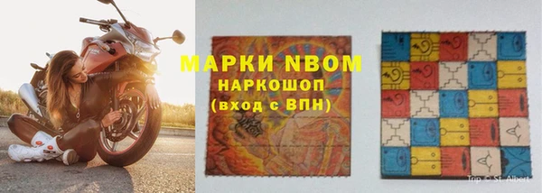 сатива Белокуриха