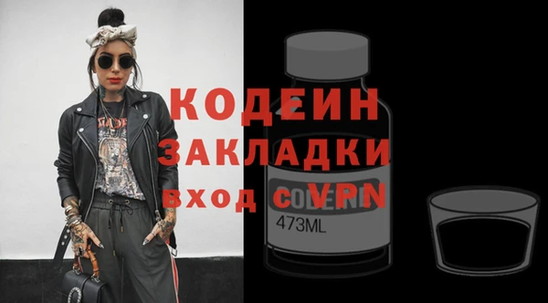 шишки Белоозёрский