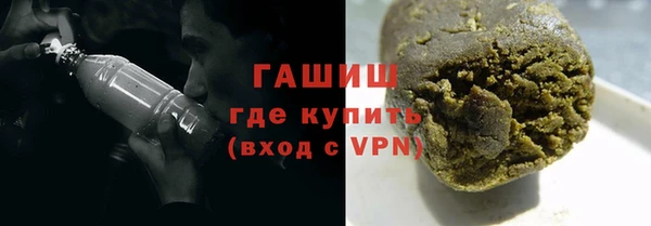 гидра Богданович