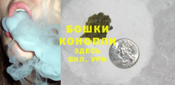 шишки Белоозёрский