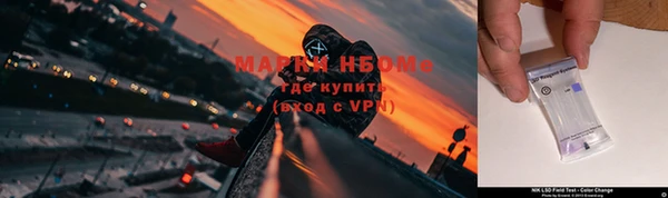 гидра Богданович