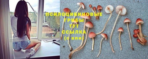 винт Богородск