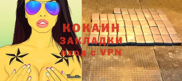 шишки Белоозёрский