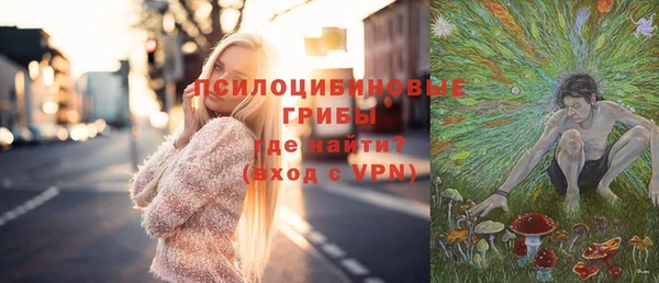 2c-b Богородицк