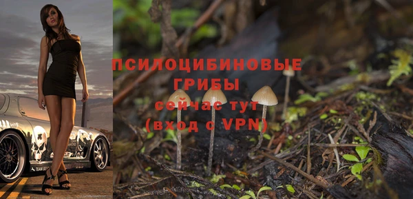 гидра Богданович