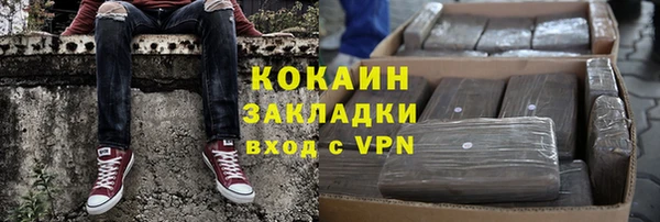 шишки Белоозёрский