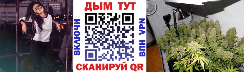 Бошки марихуана тримм Бородино